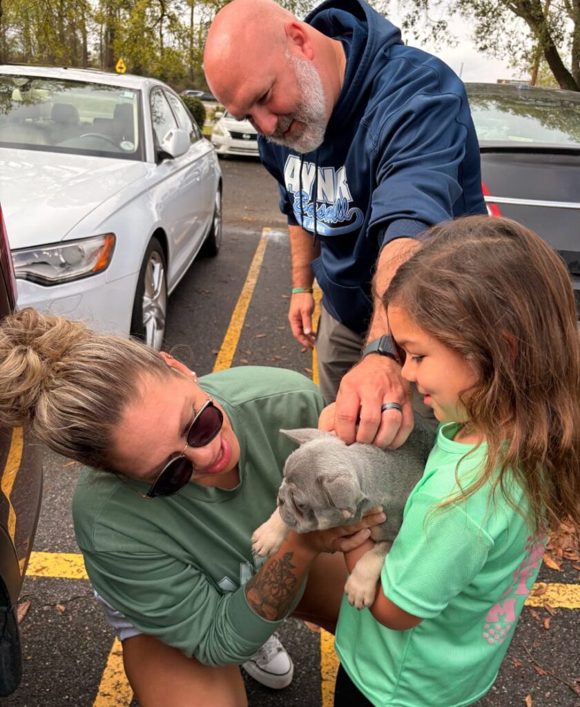 French Bulldog Puppy Price