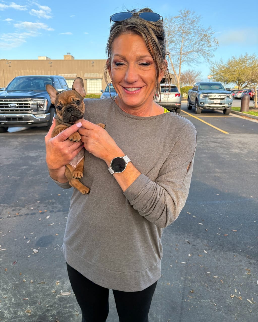Trusted French Bulldog Breeder London